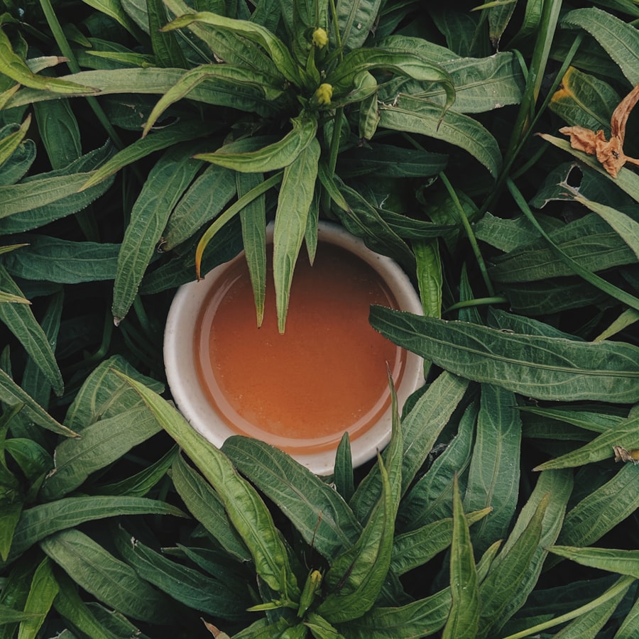 شاي أخضر طبيعي